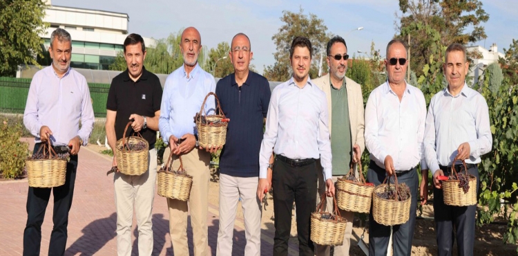 Meram Bağ Bozumu Renkli Görüntülere Sahne Oldu!?v=1